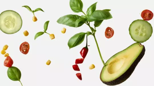 Silab nutrition à 360°