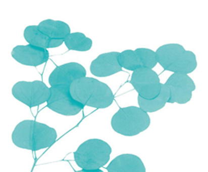 Feuille ILS web